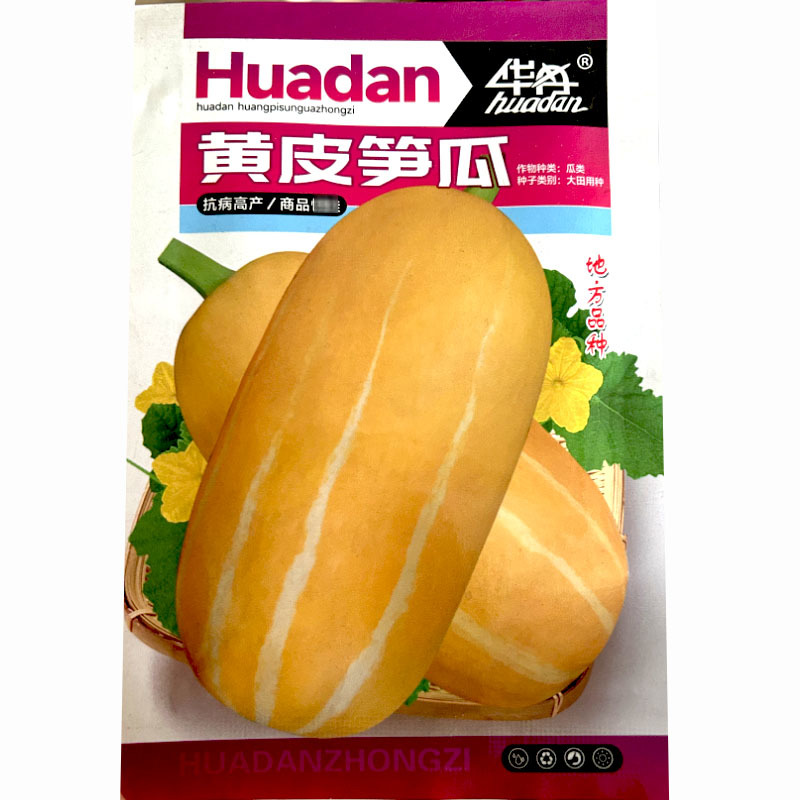 黄皮大笋瓜菊瓜葡瓜种子条纹南瓜白玉瓜角瓜种籽蔬菜种孑