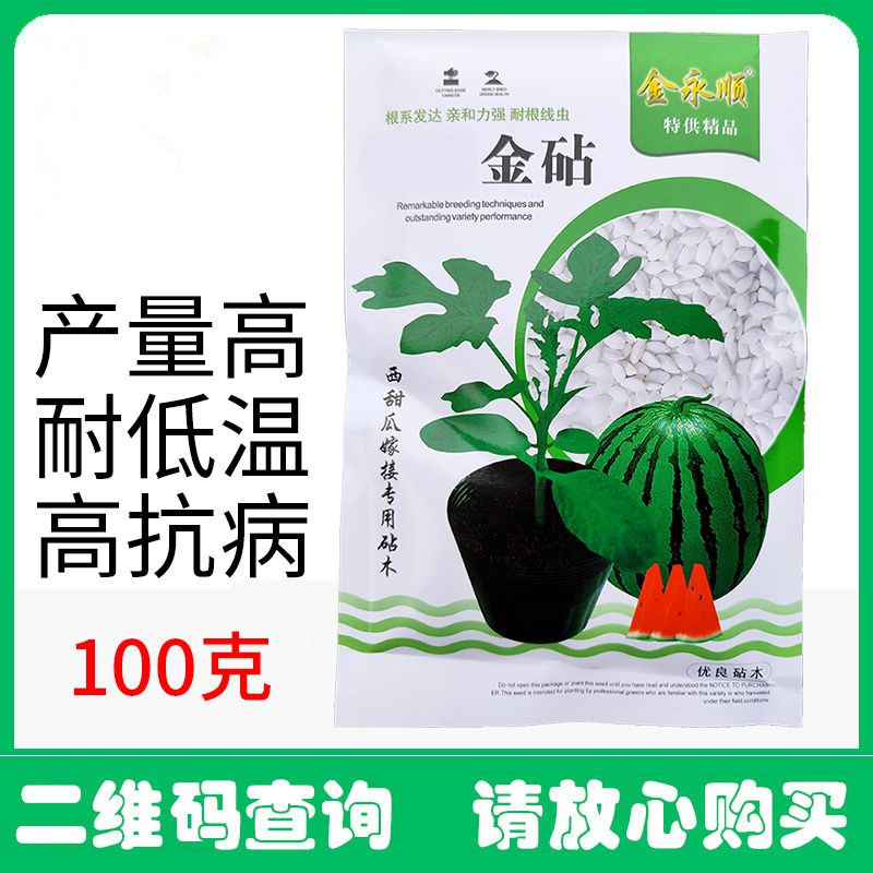 嫁接用白籽南瓜砧木种子嫁接甜瓜黄瓜西瓜钻木种子成活率高