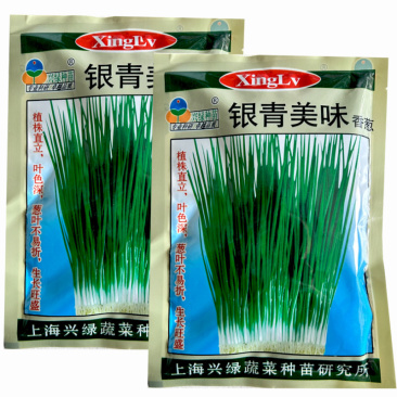 四季小香葱种子银青美味分葱浓香生长旺盛叶色深基地