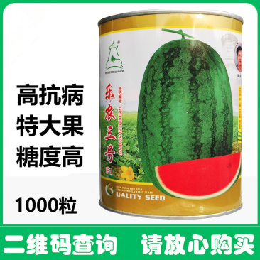 乐农三号懒汉西瓜种子抗重茬免整枝果肉红脆甜多汁