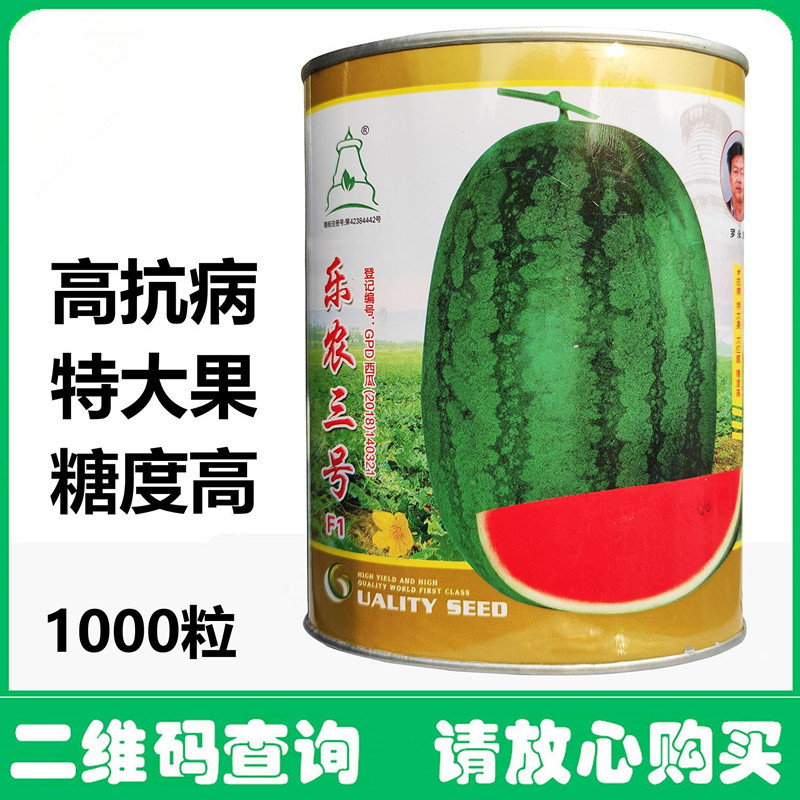 乐农三号懒汉西瓜种子抗重茬免整枝果肉红脆甜多汁