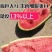 乐农三号懒汉西瓜种子抗重茬免整枝果肉红脆甜多汁