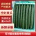 广东湛江徐闻密刺黄瓜一手资源货源充足，供应电商平台和市场