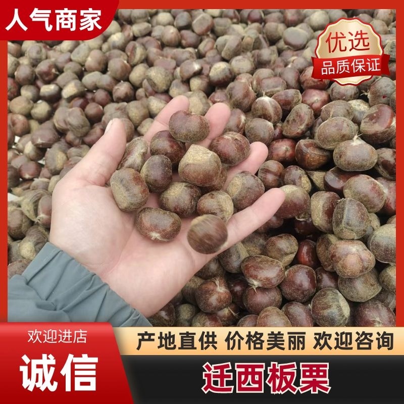 【推荐】板栗产地直发对接各大商超香甜软糯量大从优