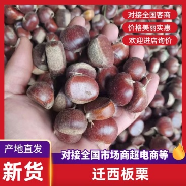 【热卖】板栗各种规格一手货源香甜可口价格美丽欢迎选购