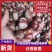 【热卖】板栗各种规格一手货源香甜可口价格美丽欢迎选购