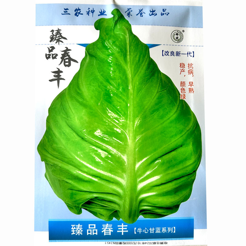 **春丰牛角心甘蓝种子改良一代高产早熟抗病基地选种