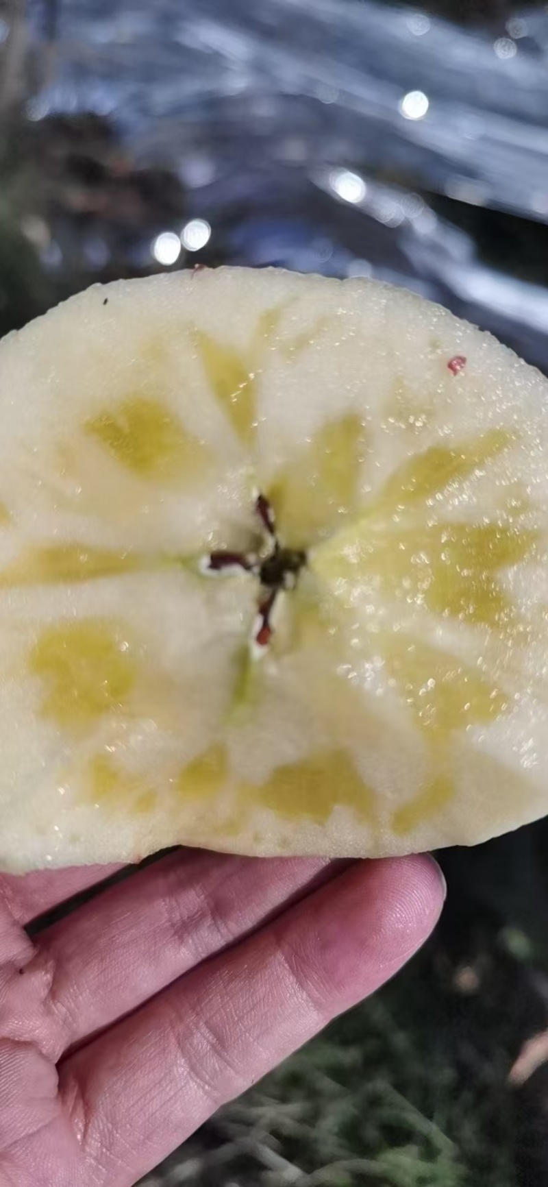【商超品质】红富士苹果对接电商个体户价格合理有需要联系