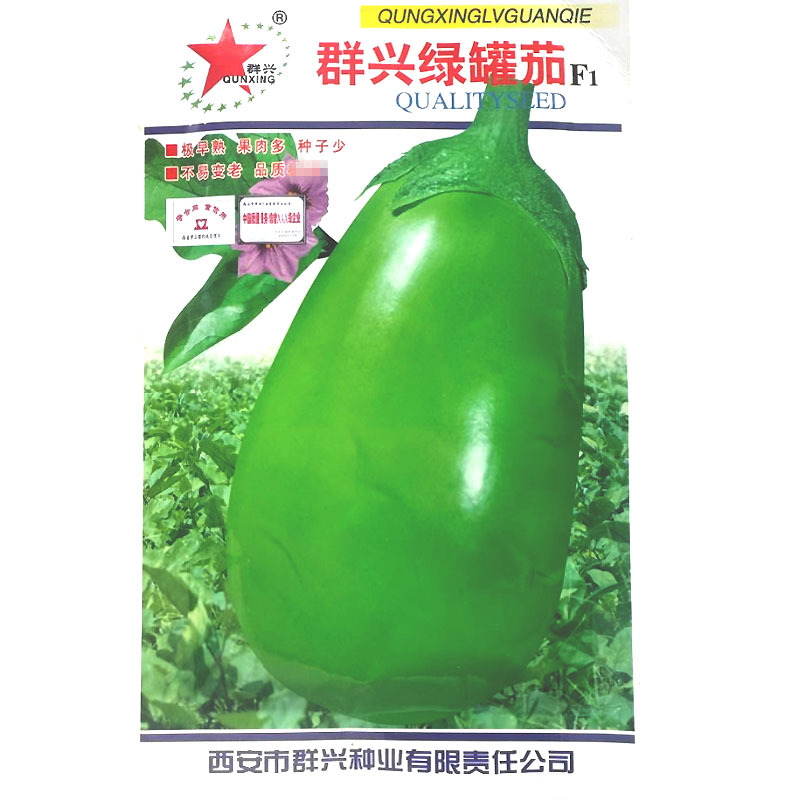群兴绿罐茄种子早熟果色深绿果肉多耐老化