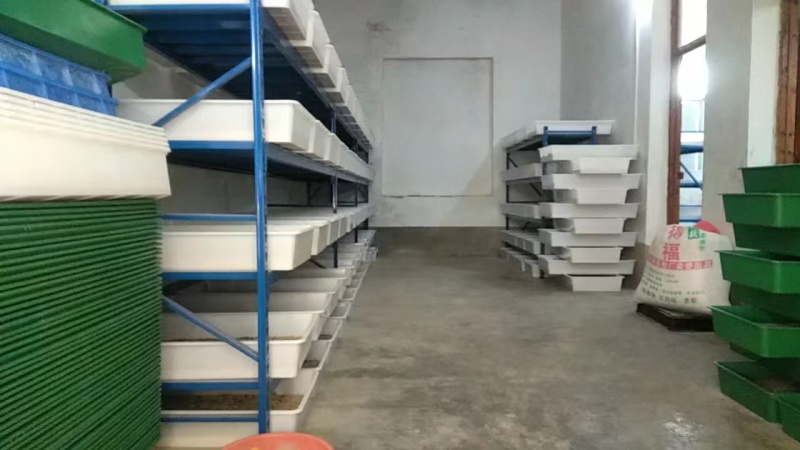 新鲜淮南蛋白虫，营养丰富，健康美味！欢迎致电