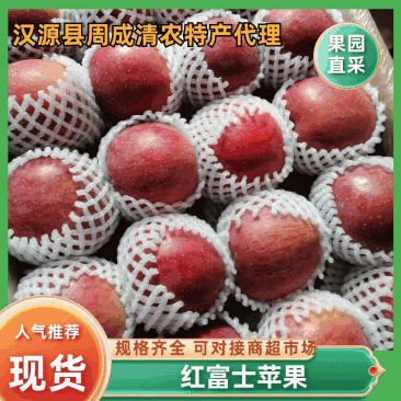 【果园直采】红富士苹果价格随行就市有需要的电话联系