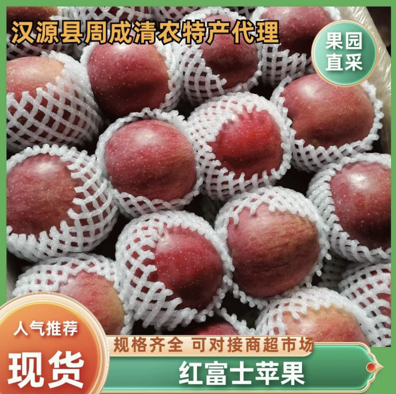 【档口货】红富士苹果价格合理随行就市量大发货欢迎下单