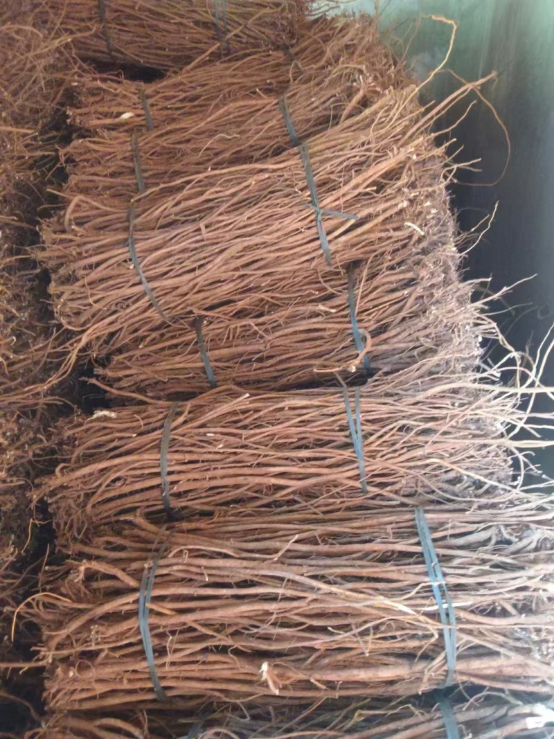小叶红皮千斤拔干货，吊马桩，一条根，现货直发欢迎来电