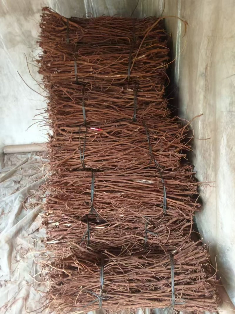 小叶红皮千斤拔干货，吊马桩，一条根，现货直发欢迎来电