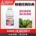 奥丰亚磷酸钾营养控梢控旺促花保果抑菌防病补磷补钾