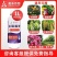 奥丰亚磷酸钾营养控梢控旺促花保果抑菌防病补磷补钾