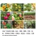 奥丰亚磷酸钾营养控梢控旺促花保果抑菌防病补磷补钾
