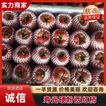 寿光硬粉西红柿红番茄大量上市社区团购批发直持一件代发