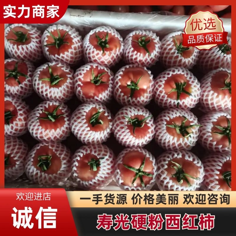寿光硬粉西红柿红番茄大量上市社区团购批发直持一件代发