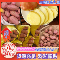 云南土豆红皮土豆黄心产地直供量大从优全国发货