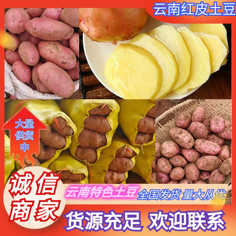 云南土豆红皮土豆黄心产地直供量大从优全国发货