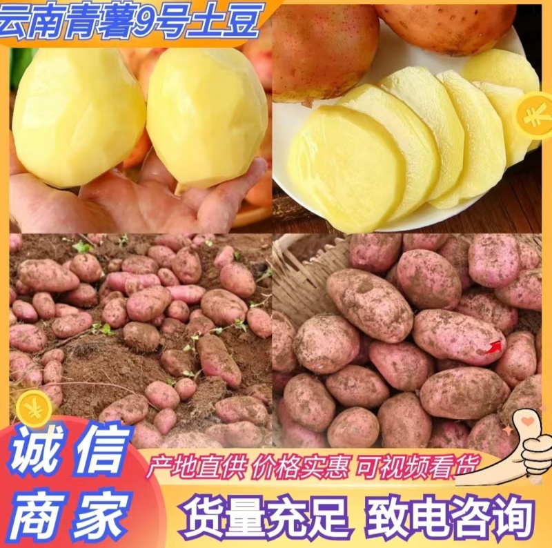 云南土豆特色青薯9号红皮土豆洋芋合作88量大优惠