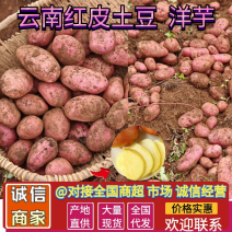 云南特色土豆红皮土豆洋芋青薯9号现挖现发可视频看货