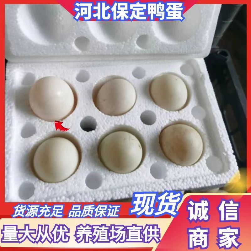 销售赶大集用盒装鸭蛋，白蛋鲜鸭蛋社区团购，电商供应
