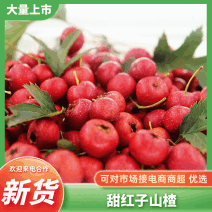 绛县甜红子山楂大金星，大五楞，大棉球，八月红品类齐全欢
