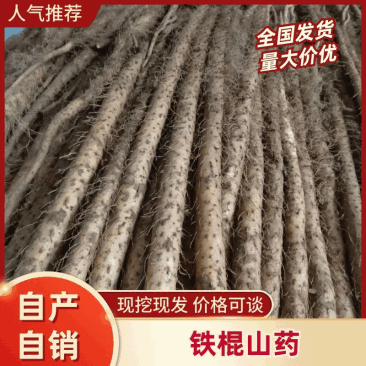 灵宝铁棍红皮山药,三门峡白玉山药,现挖现发