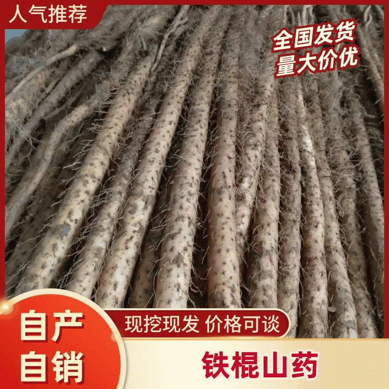 灵宝铁棍红皮山药，三门峡白玉山药，现挖现发