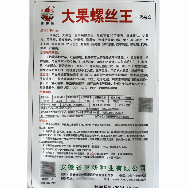 大果螺丝椒种子猪大肠大果型膨胀快挂果多