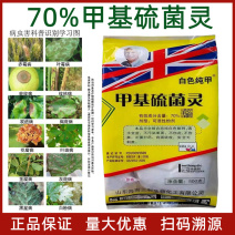 甲基硫菌灵杀菌剂苹果轮纹病白粉病纹枯病叶霉病黑星病稻瘟病