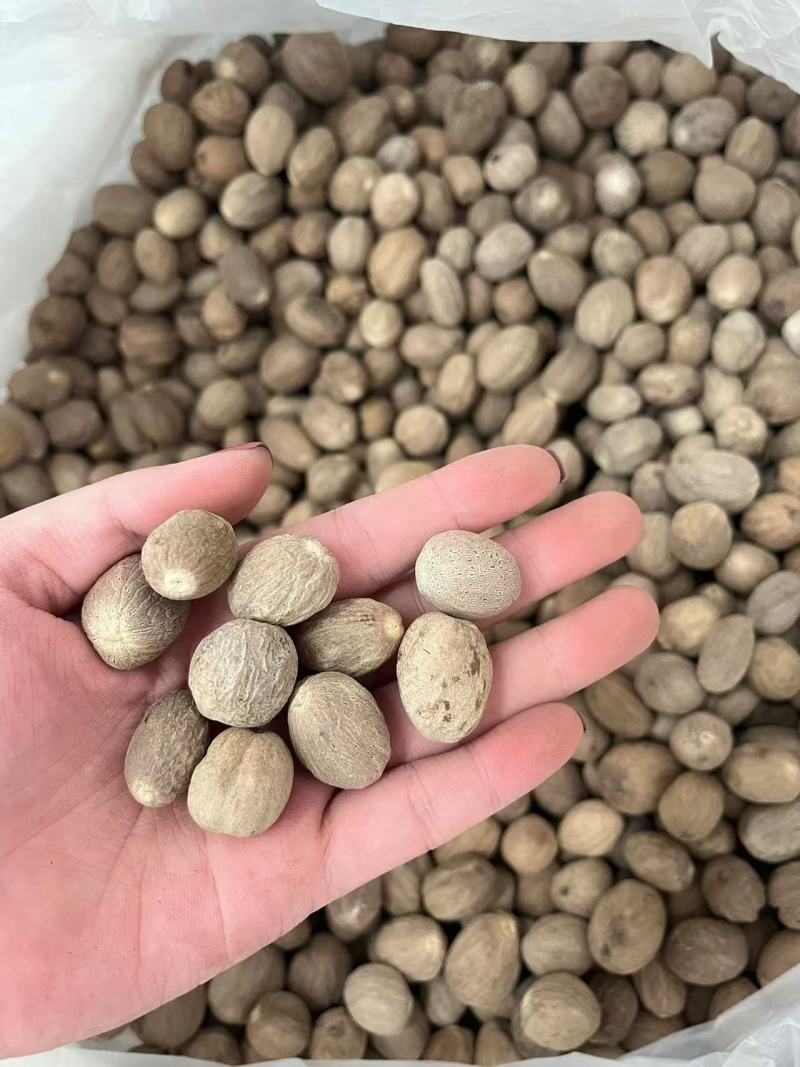 广西肉蔻玉果香果仁卤菜火锅调料肉蔻香料大全产地直发