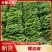 【精品】河南辣椒精品螺丝椒大量上市品质保障欢迎致电合作
