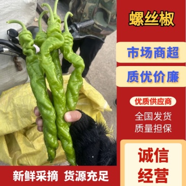 【推荐】河南螺丝椒产地大量供应价优可视频看货欢迎