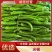 【牛商】河南精品尖椒大量上市品质保障可视频看货