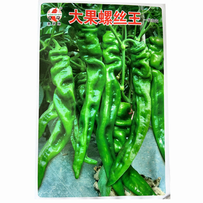 大果螺丝椒种子猪大肠大果型膨胀快挂果多