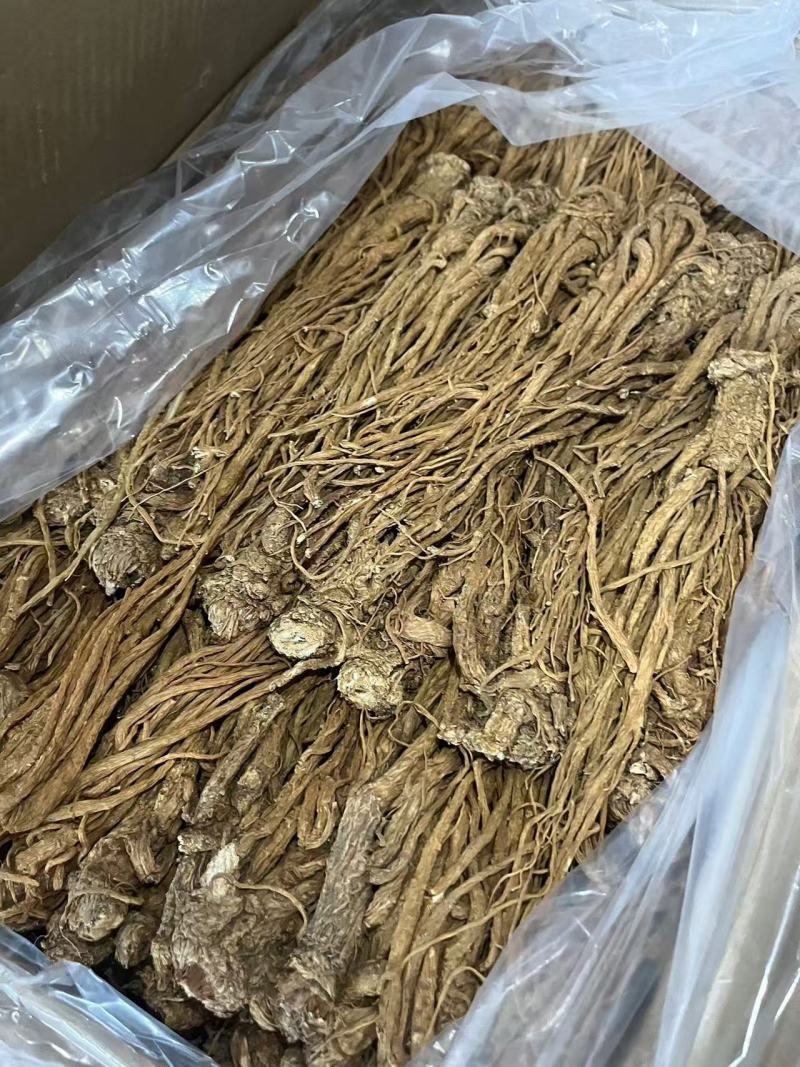 当归产地直发条形好干度优大量有货