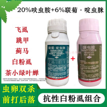 联苯菊酯啶虫脒呋虫胺抗性白粉虱飞虱套餐跳甲蓟马绿叶蝉杀虫
