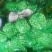 【芹菜】山东精品西芹大量上市基地直供质量保证全国发货