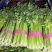 【芹菜】山东精品西芹大量上市基地直供质量保证全国发货