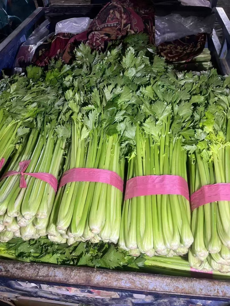 【芹菜】山东精品西芹大量上市基地直供质量保证全国发货