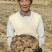 山东临沂精品芋头8520上市对接各大市场商超来电洽谈