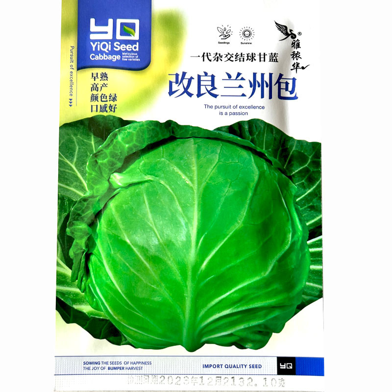改良兰州包绿甘蓝种子圆手撕包菜球大大田基地种植