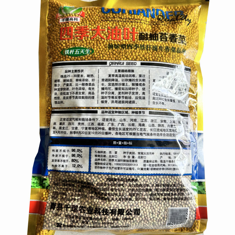 四季大油叶耐抽苔香菜种子耐热耐抽苔小芫荽铁杆速生