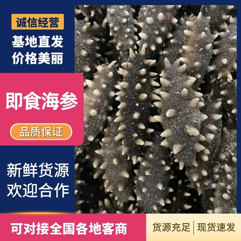 鲜食海参即食海参肉质肥厚Q弹产地直发保证品质