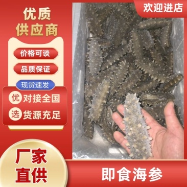 大连长海即食海参货量充足品质保证真空包装诚信经营