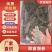 大连长海即食海参货量充足品质保证真空包装诚信经营