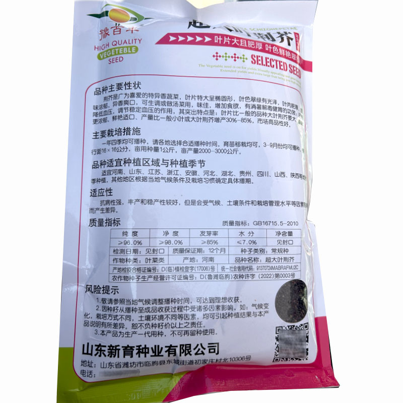 大叶荆芥种子大全河南发芽好香味浓四季大田基地